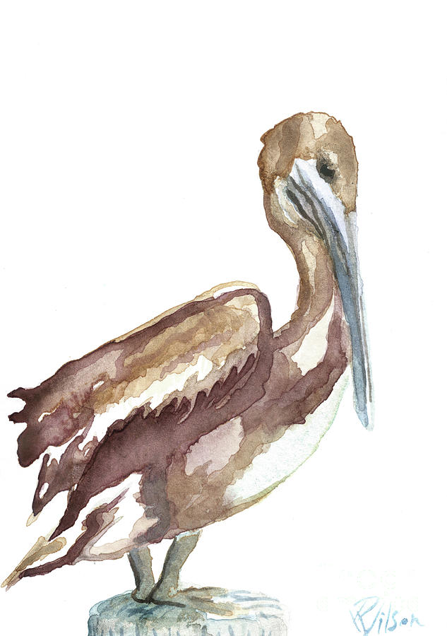 Pelican Painting - Pelican Study by D Renee Wilson