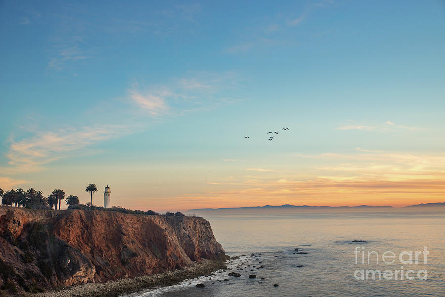 Sunset Photograph - Pelicans at Point Vicente Lighthouse by Sarah Ainsworth