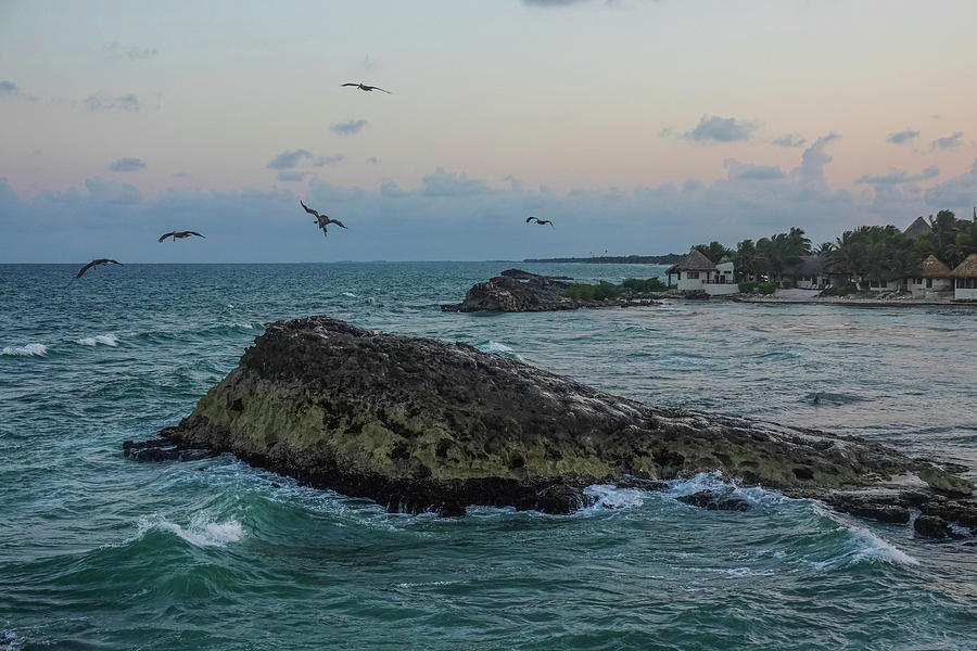 Pelicans flying over Tulum beach at sunset Tulum Mexico MX Photograph by Toby McGuire