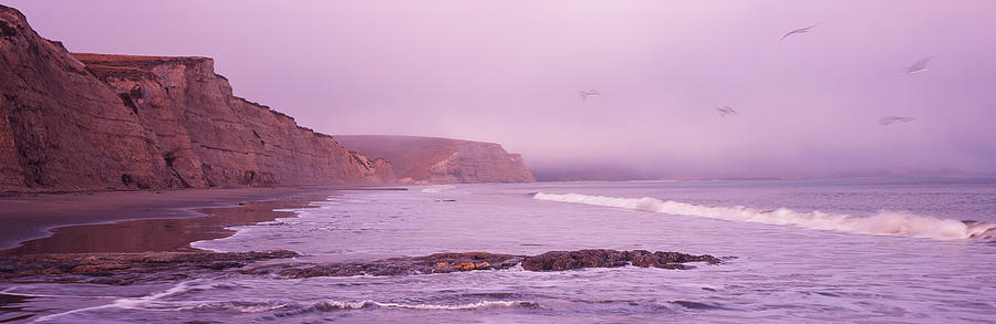 Point Reyes National Seashore Photograph - Pelicans In Flight Over Drakes Beach At by Timothy Hearsum