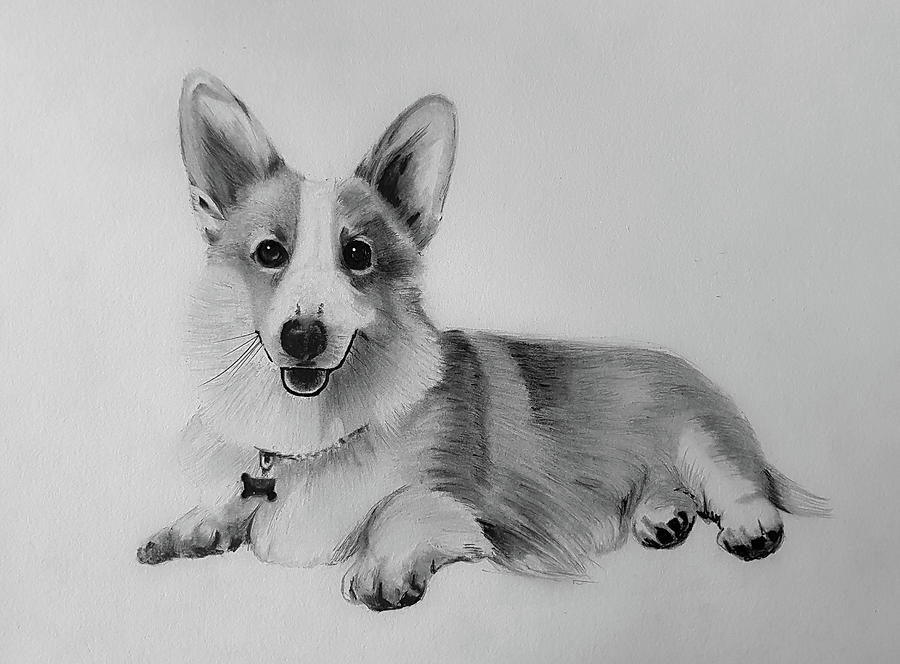 WELSH Dog Pencil Drawing Art Print By Artist DJ Rogers