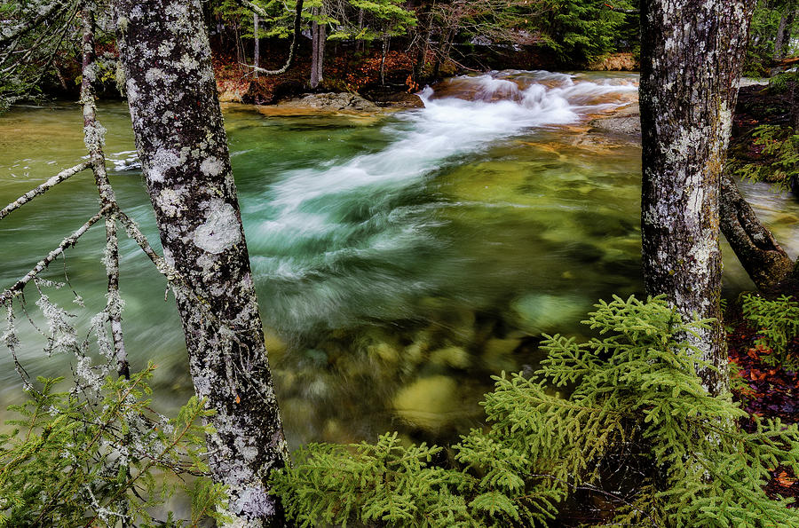 Pemigewasset River, Basin Trail NH by Michael Hubley Pemigewasset River, Basin Trail NH by Michael Hubley
