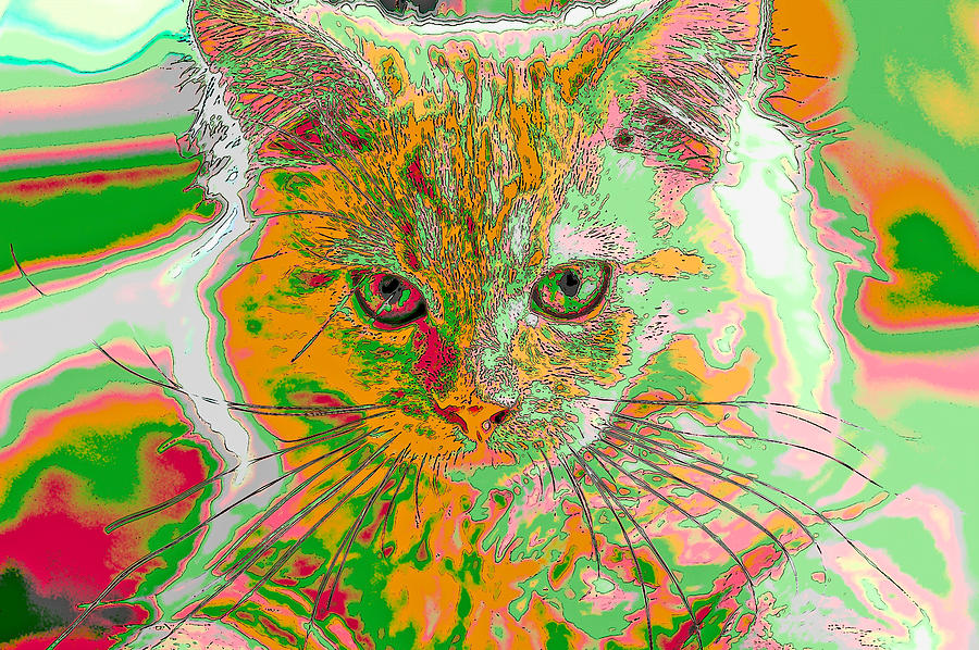 Pen and Ink Kitten Abstract Digital Art by Don Northup