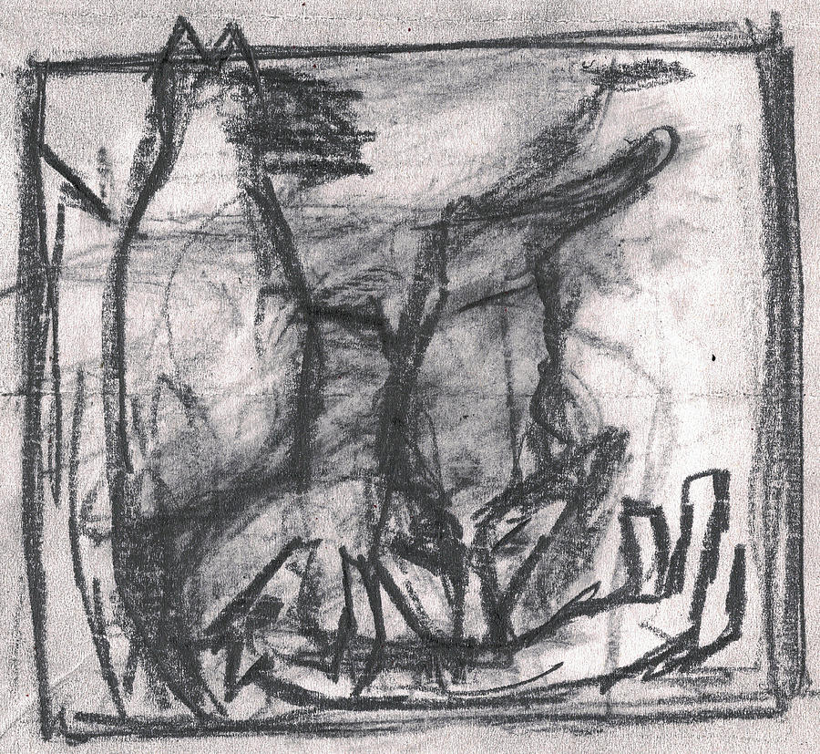 Pencil Squares Canine d Drawing by Edgeworth Johnstone