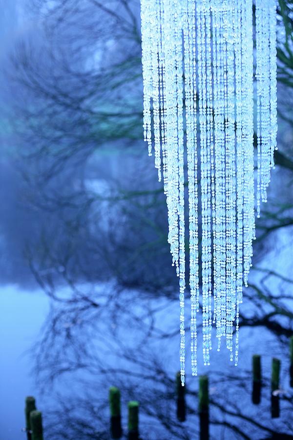 Pendant Lampshade Made From Strings Of Beads On Shore Of Lake In Wintery Dawn Light Photograph by Michal Mrowiec