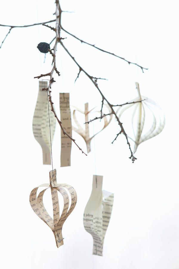 Pendants Made From Strips Of Paper Hung From Twig Against White Background Photograph by Regina Hippel