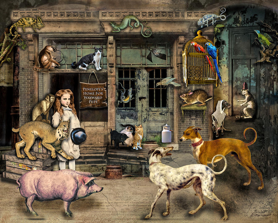 Penelope's Home For Wayward Pets by Diana Haronis Penelope's Home For Wayward Pets by Diana Haronis