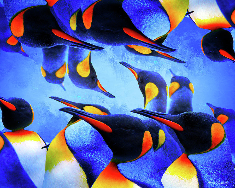 Penguin Mixed Media - Penguin by Ata Alishahi