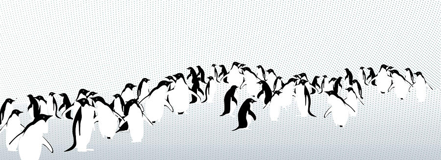 Penguins Digital Art by Maya Shleifer
