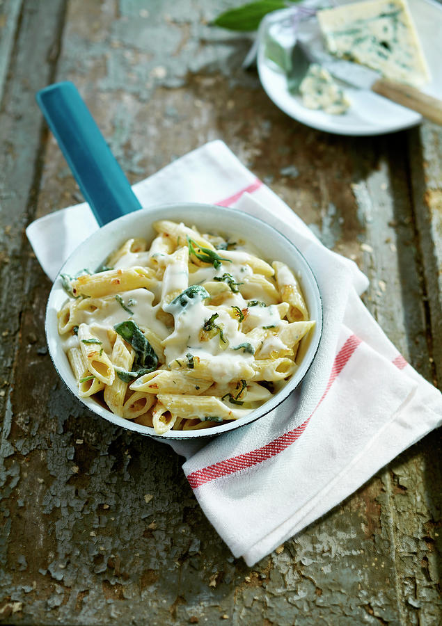 Penne With Gorgonzola Sauce And Sage Photograph by Daniel Reiter