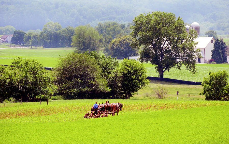 Pennsylvania Amish Country - #1842 Photograph by Paul W Faust - Impressions of Light