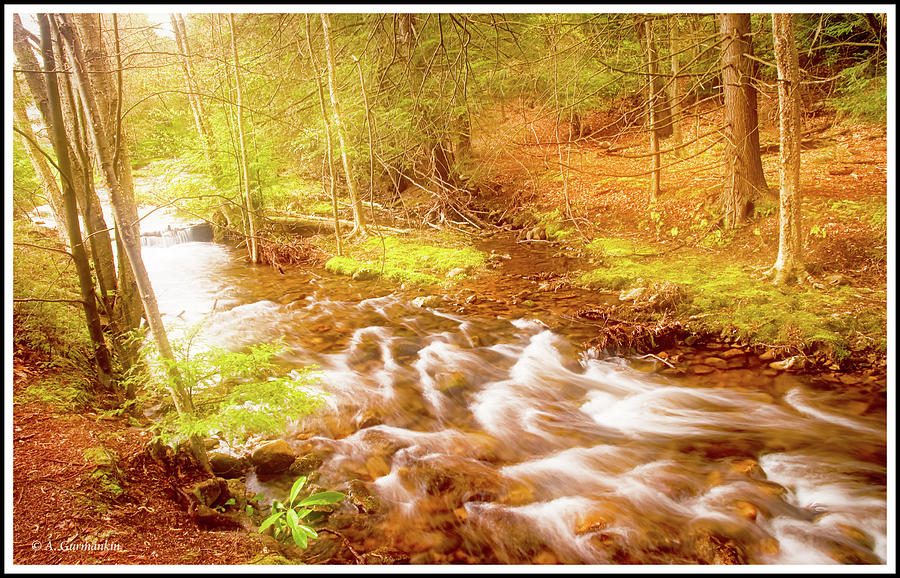 Pennsylvania Mountain Stream, Early Spring Photograph by A Macarthur Gurmankin