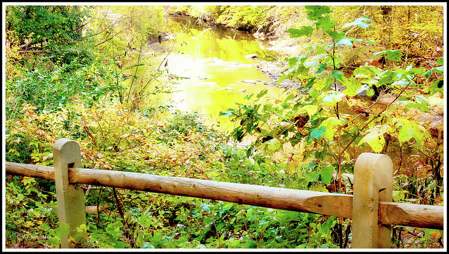 Pennsylvania Stream in Early Autumn Photograph by A Macarthur Gurmankin