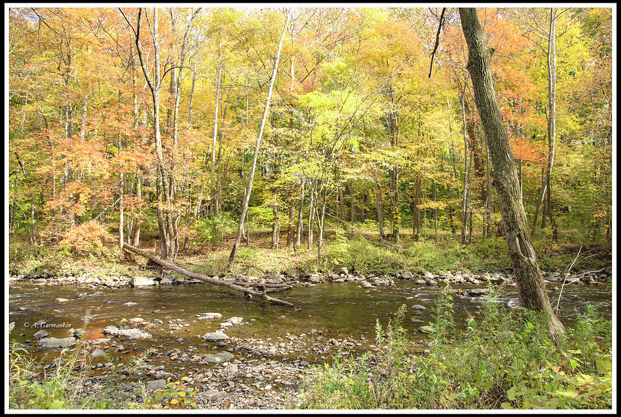 Pennypack Creek in Fall, Philadelphia Landmark Photograph by A Macarthur Gurmankin