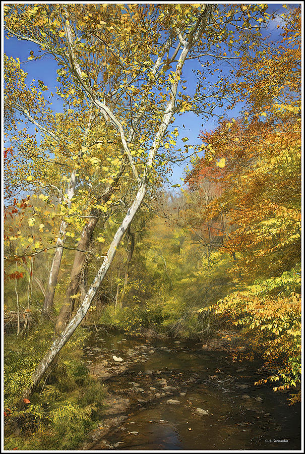 Pennypack Creek, Southeastern Pennsylvania, Fall Photograph by A Macarthur Gurmankin