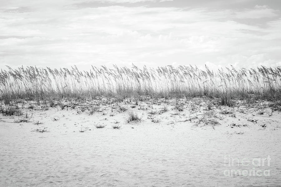 Pensacola Beach Beachscape Black and White Photo Photograph by Paul Velgos