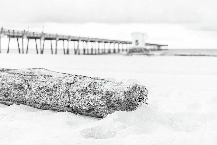 Pensacola Beach Driftwood, Pier and Lifeguard Tower 5 Black and  Photograph by Paul Velgos