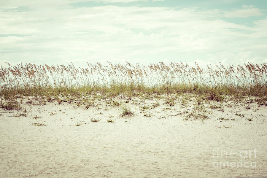 Pensacola Florida Beach Grass Beachscape Retro Photo Photograph by Paul Velgos