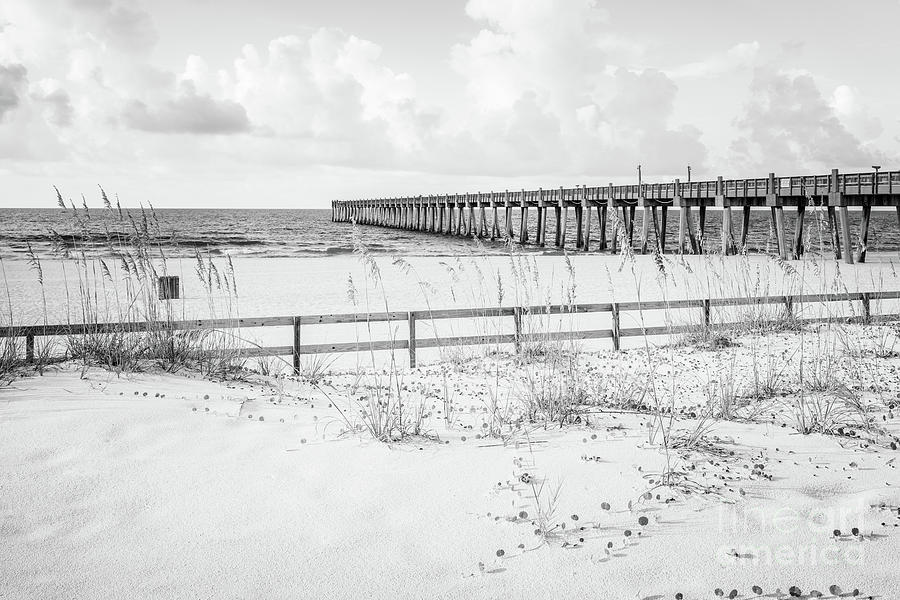Pensacola Gulf Pier and Beach Fence Black and White Photo Photograph by Paul Velgos