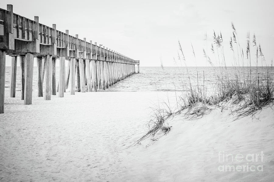 Pensacola Gulf Pier and Beach Grass Black and White Photo Photograph by Paul Velgos