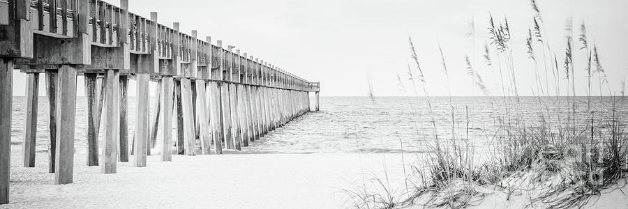 Pensacola Pier and Beach Grass Black and White Panoramic Photo Photograph by Paul Velgos
