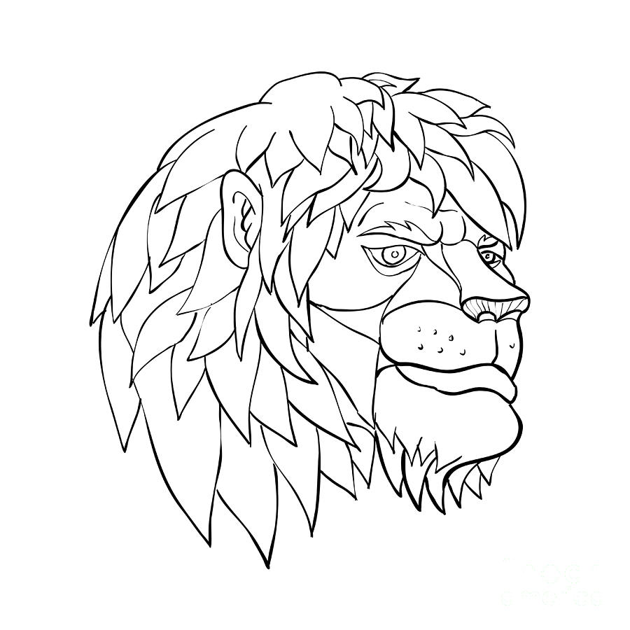 Lion Cartoon Images Black And White