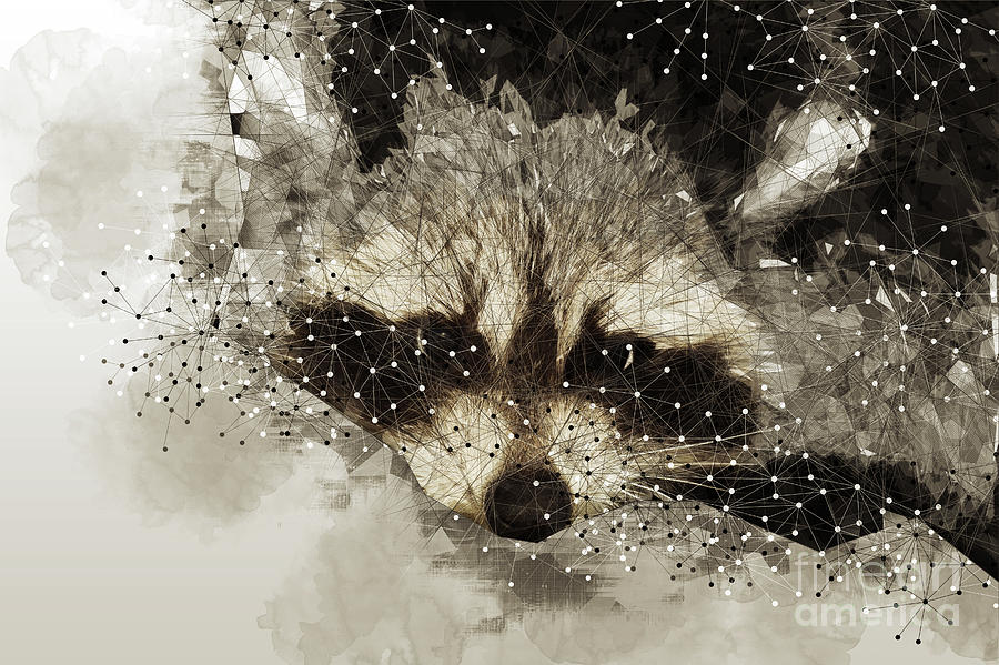 Pensive Raccoon Digital Art