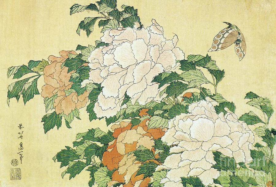 Peonies and Butterfly Painting by Hokusai | Fine Art America