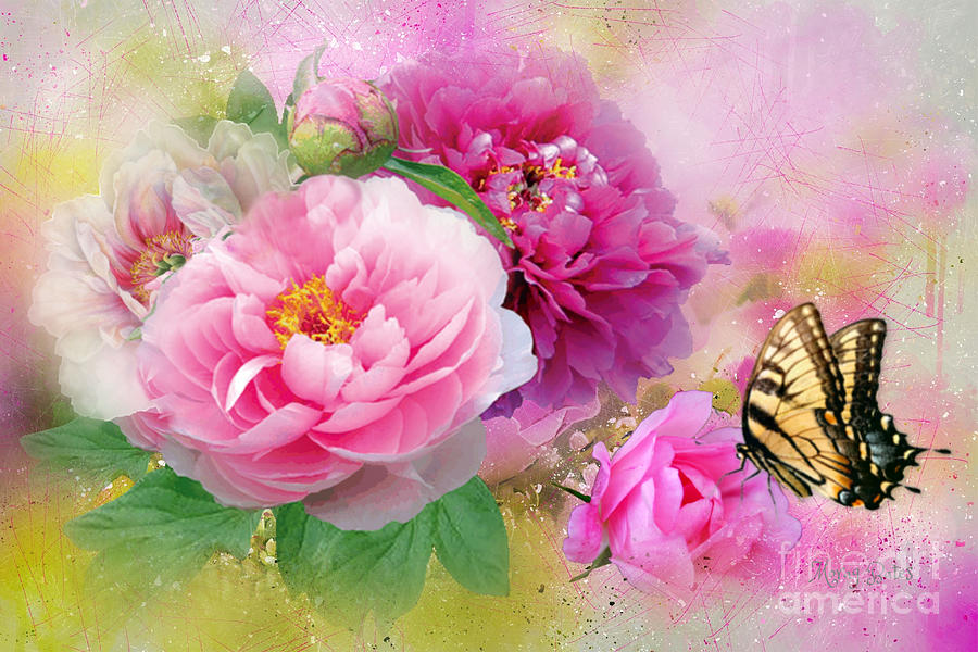 Peonies and Butterfly by Morag Bates Peonies and Butterfly by Morag Bates