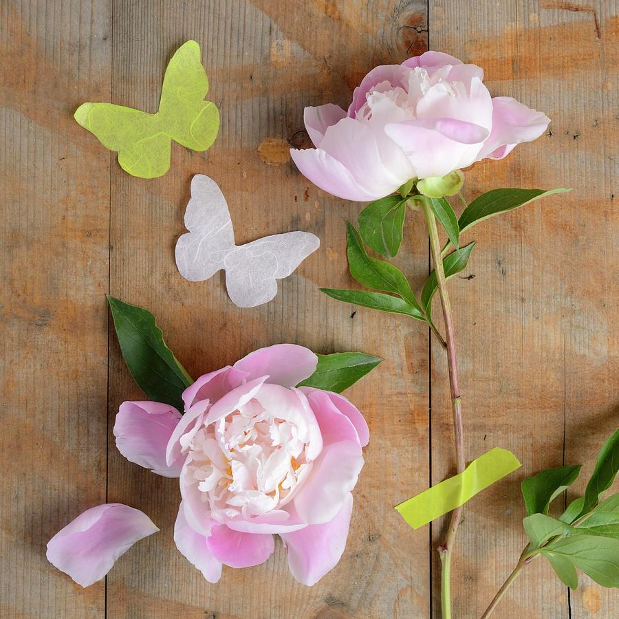 Peonies And Paper Butterflies On Wooden Surface Photograph by Sonia Chatelain