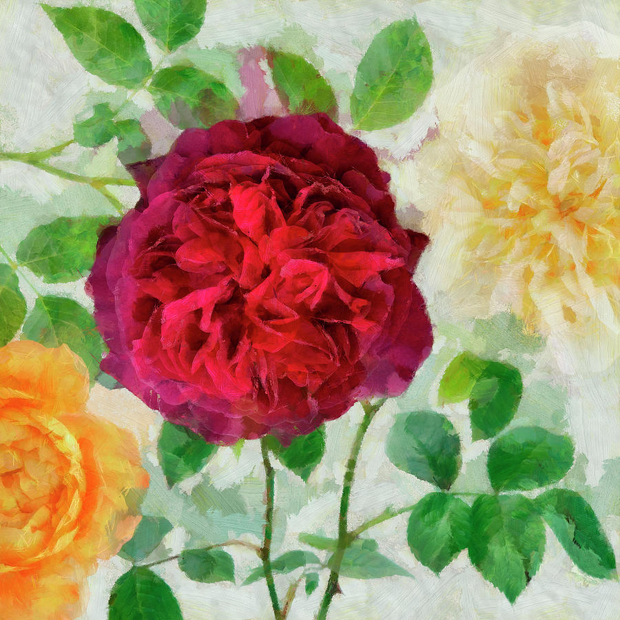 Pattern Photograph - Peonies And Roses II by Cora Niele