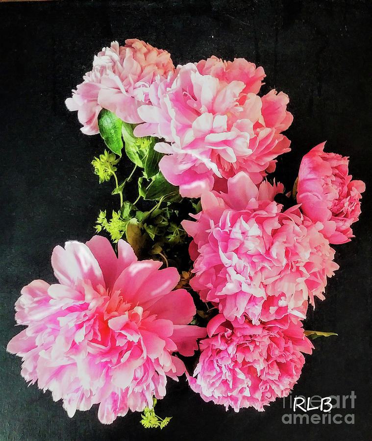 Peonies are a Gift Photograph by Rita Brown
