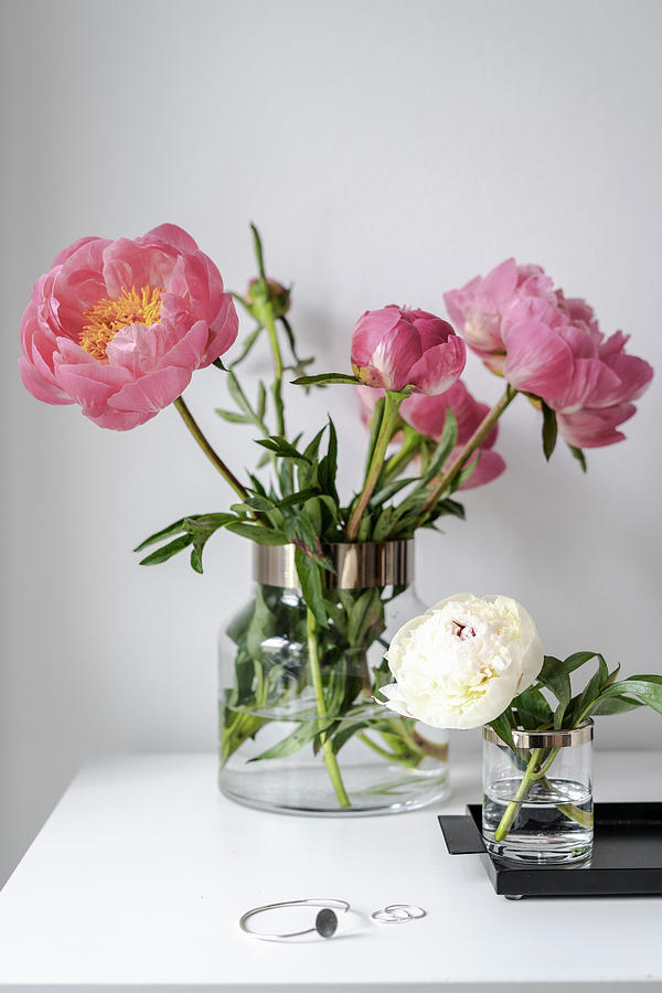 Peonies In Glass Vases, paeonia Photograph by Giulia Maretti