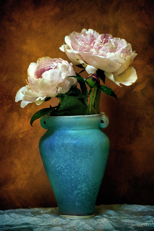 Peonies in Spring Photograph by John Rivera
