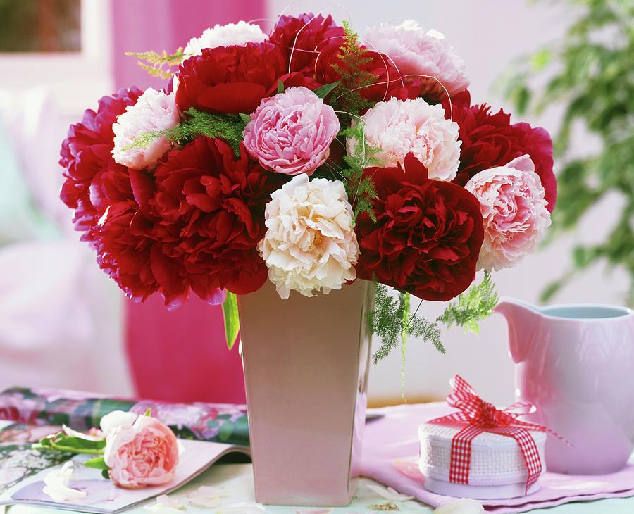 Peonies In Vase, Gift Box And Jug Photograph by Friedrich Strauss Pixels