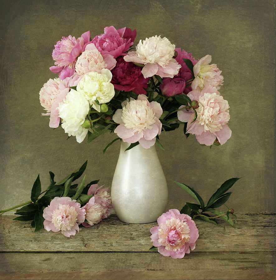 Peonies In Vase Photograph by Sergey Ryumin