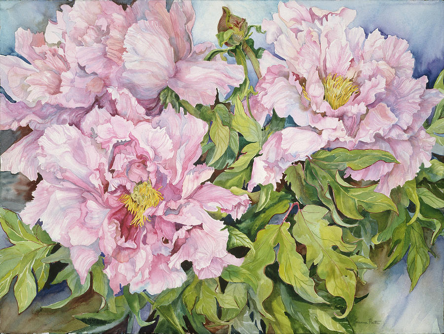 Peonies Painting by Joanne Porter - Fine Art America