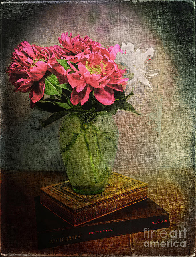 Peonies On Canvas Photograph by John Anderson