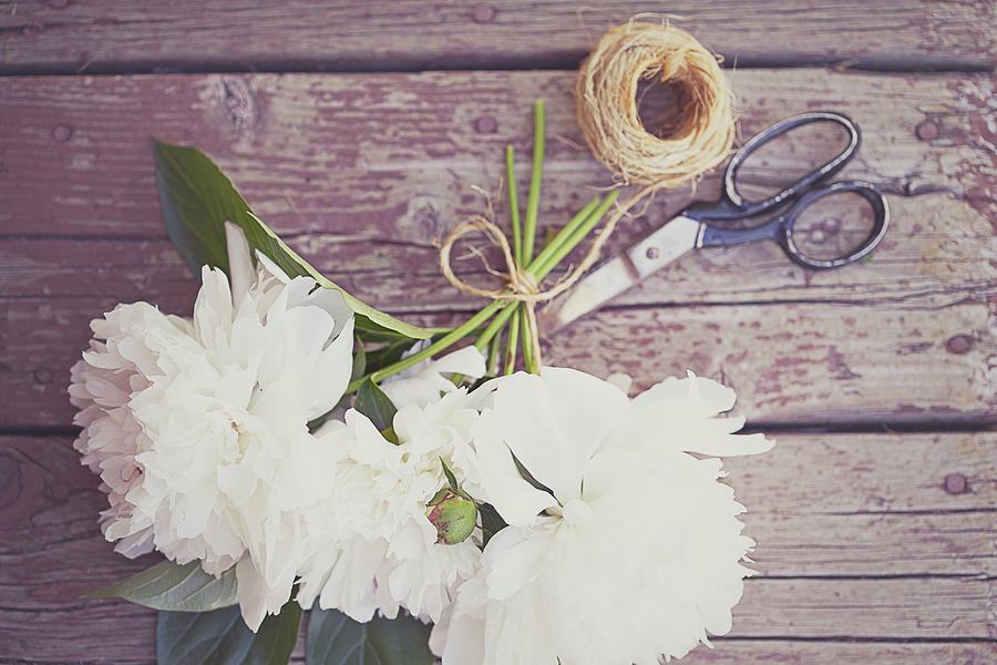 Peonies, Scissors And Twine Photograph by Isabelle Lafrance Photography