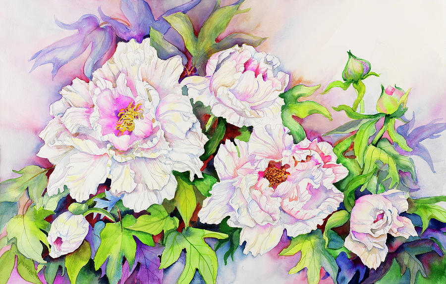 Peonies With Pink Centers Painting By Joanne Porter 