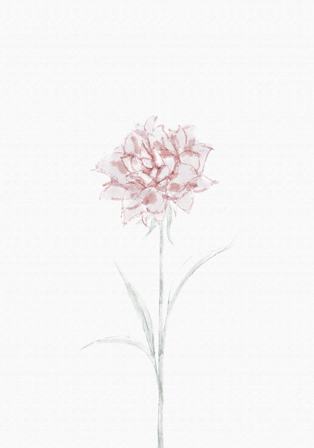 Flower Photograph - Peony 02 by 1x Studio Ii