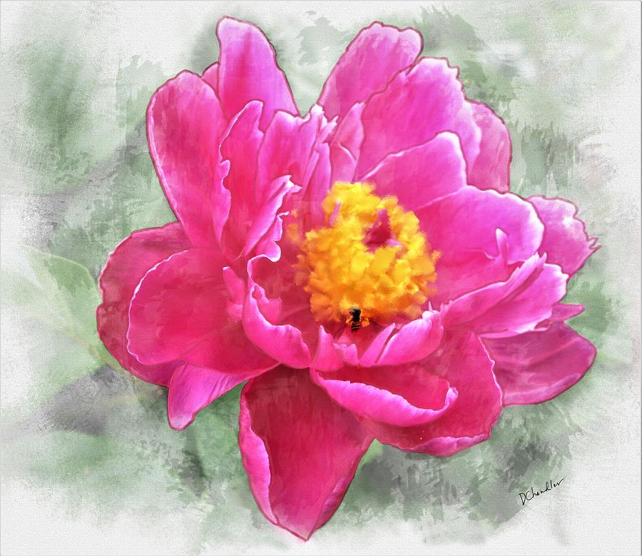 Peony and Bee Painting by Diane Chandler