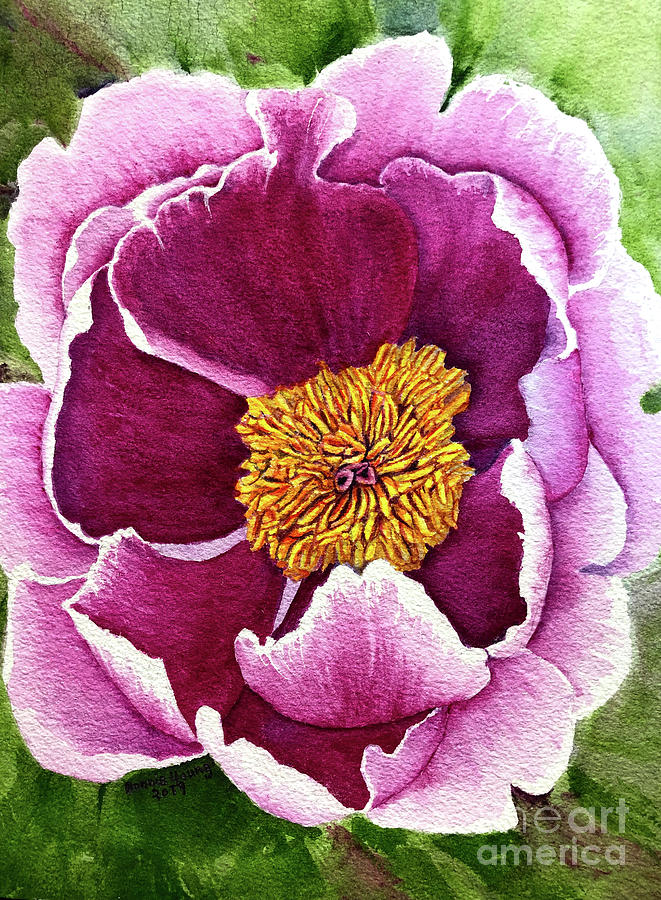Peony Painting by Bonnie Young