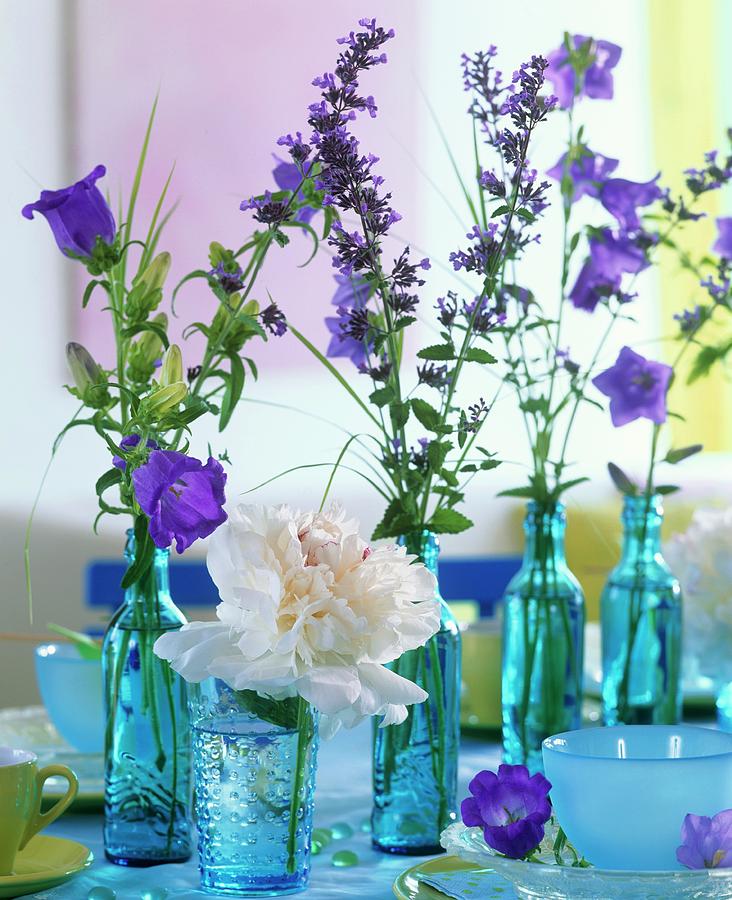 Peony, Campanula And Catmint In Blue Bottles Photograph by Friedrich Strauss