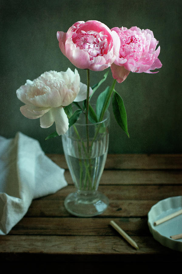 Peony Flowers In Glass Vase Photograph by Copyright Anna Nemoy(xaomena)
