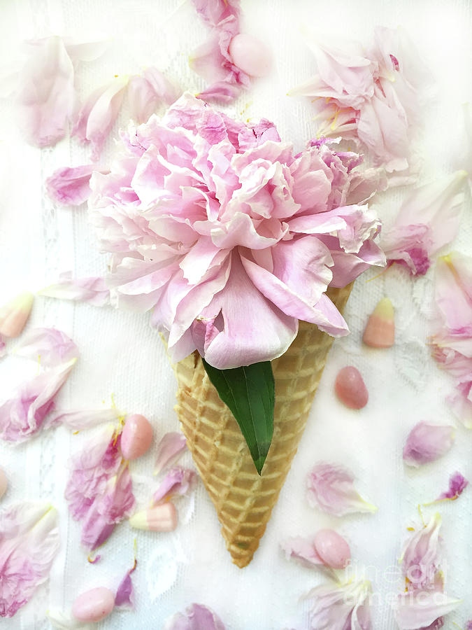 Peony Flowers Waffle Cone Shabby Chic Cottage Flower Print Pink Peony Ice Cream Cone Floral Decor Photograph By Kathy Fornal