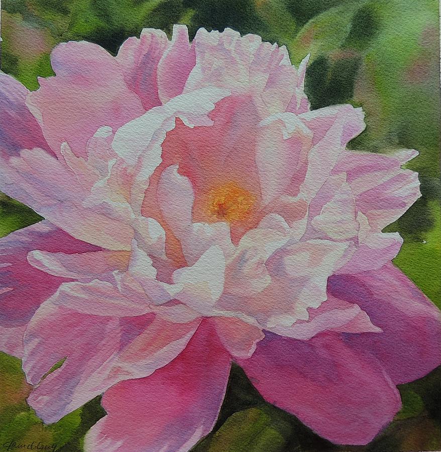 Peony I Painting by Jane DeGruchy - Fine Art America