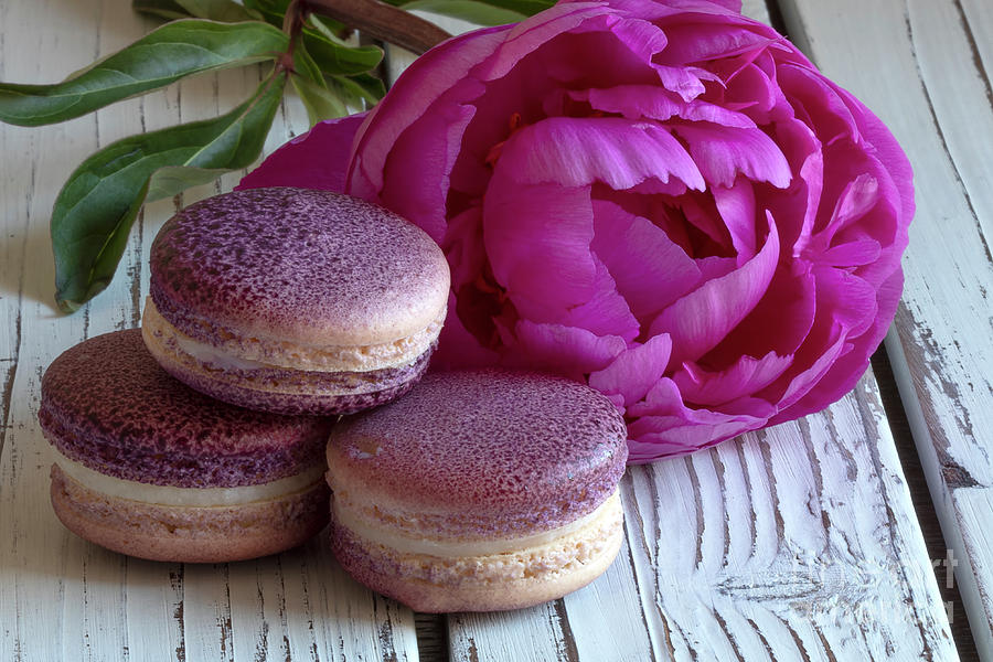 Cookie Photograph - Peony Macarons by Elisabeth Lucas