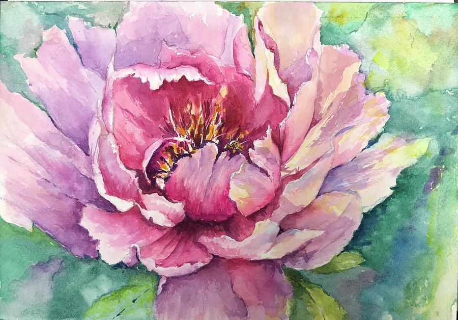 Peony Painting by Nancy Sackrison - Fine Art America