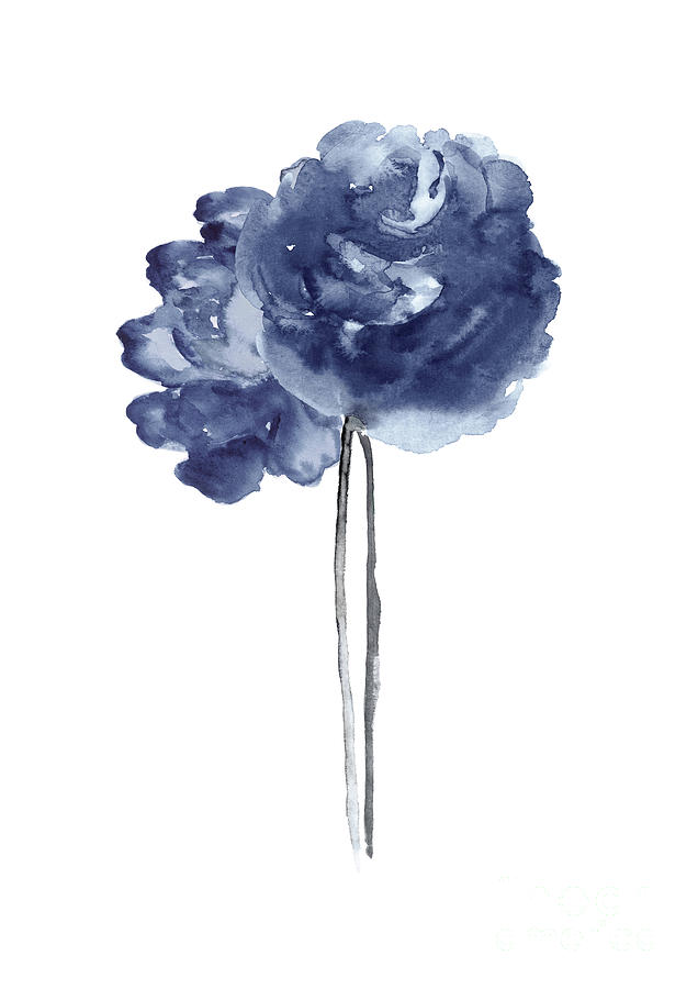 Peony Navy Blue Flower Watercolor Painting By Joanna Szmerdt ...
